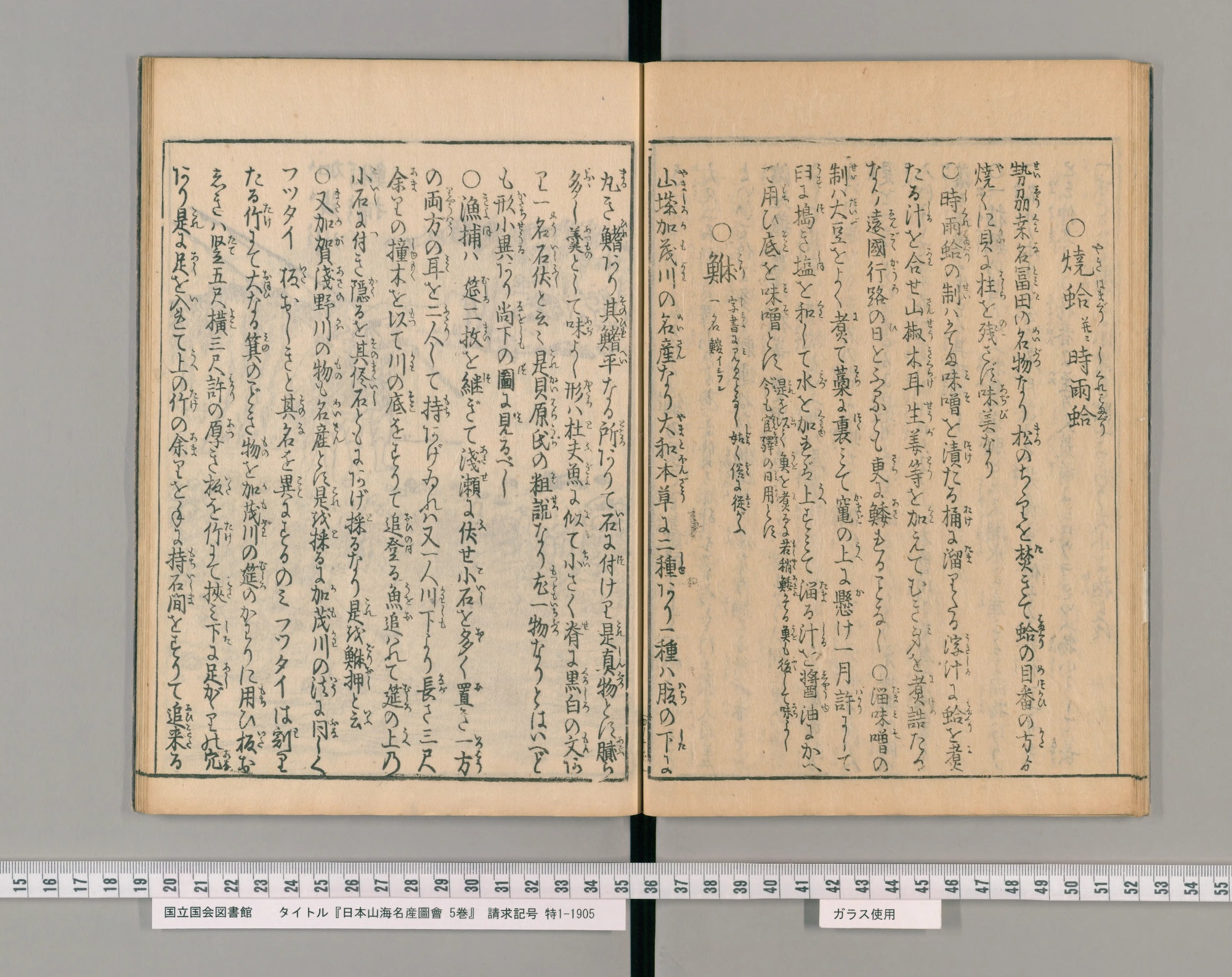 『日本山海名産図会』巻之四コマ19の見開き。右ページのはじめに「焼蛤幷ニ時雨蛤」、同じ右ページの左寄りに見出し「鮴」