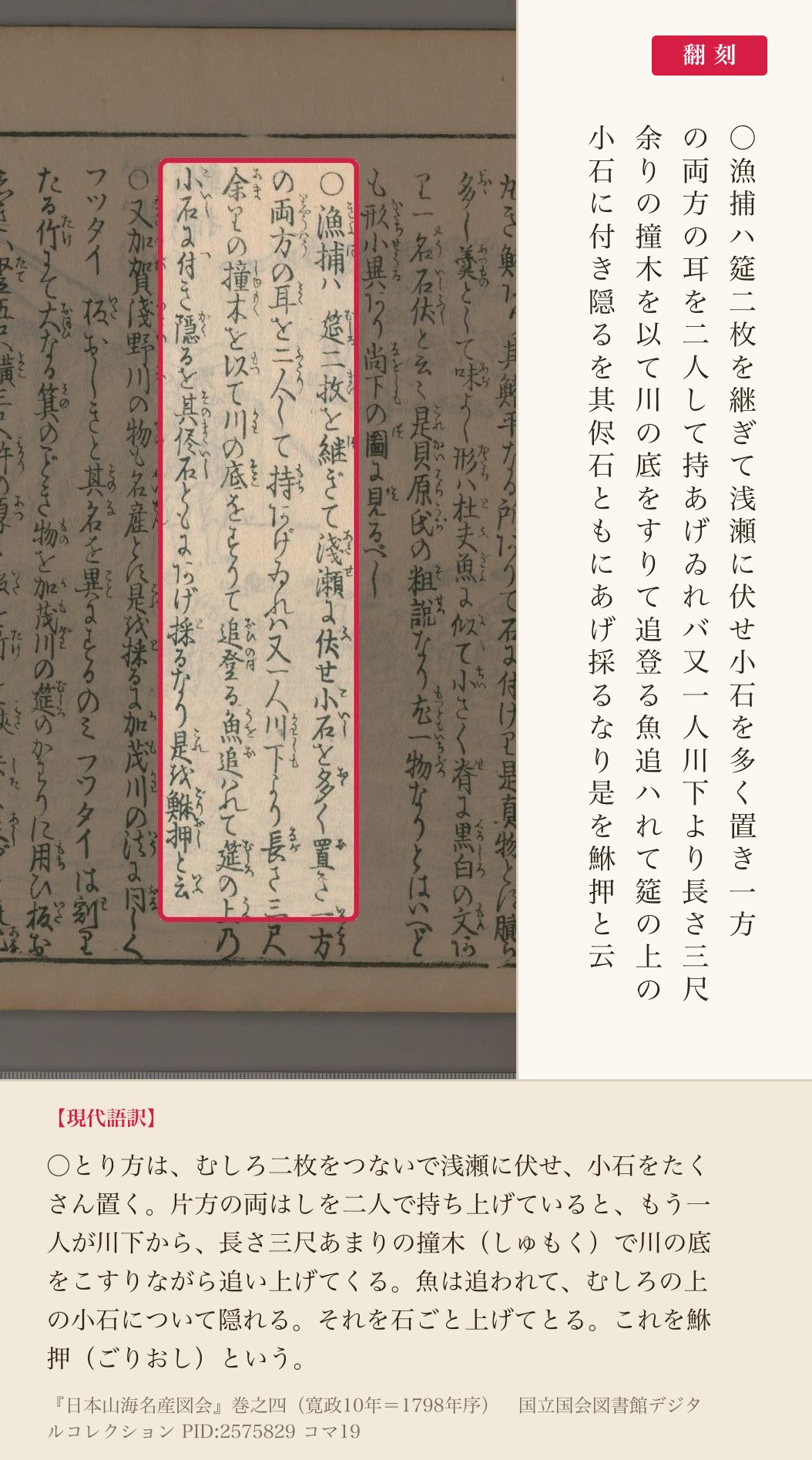 『日本山海名産図会』コマ19の「漁捕ハ筵二枚を継ぎて」から「是を鮴押と云」までの4列と翻刻