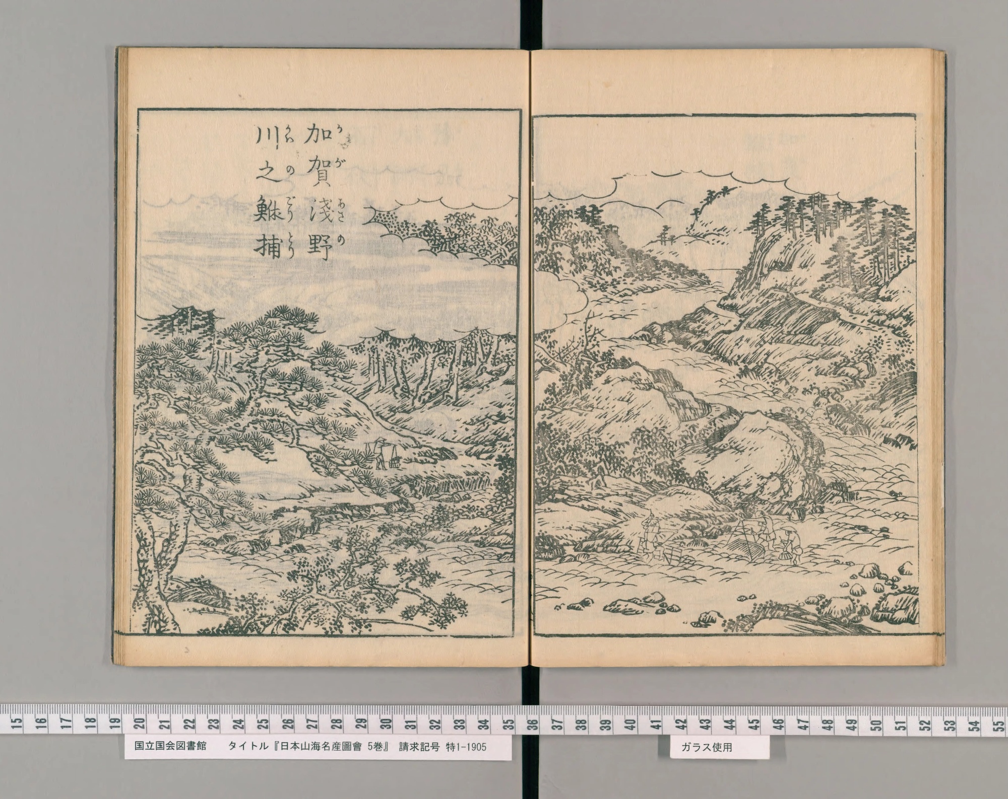 『日本山海名産図会』巻之四コマ21の見開き図。松の生えた山あいの川。右下の流れの中に、道具を持った人が三人。左上の題は「加賀淺野川之鮴捕」