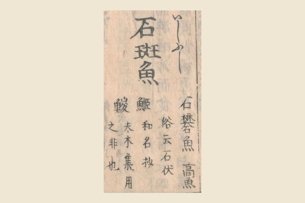 『和漢三才図会』コマ14の見出し「石斑魚」と振り仮名「いしぶし」、「俗云石伏」の大写し