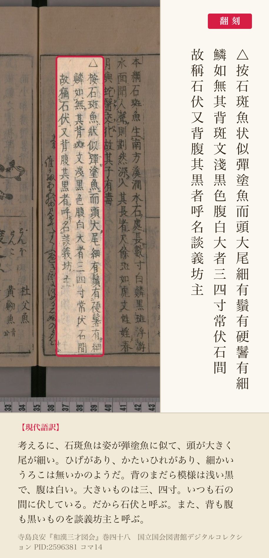 『和漢三才図会』巻四十八コマ14の「按石斑魚」から「談義坊主」までの3列と翻刻