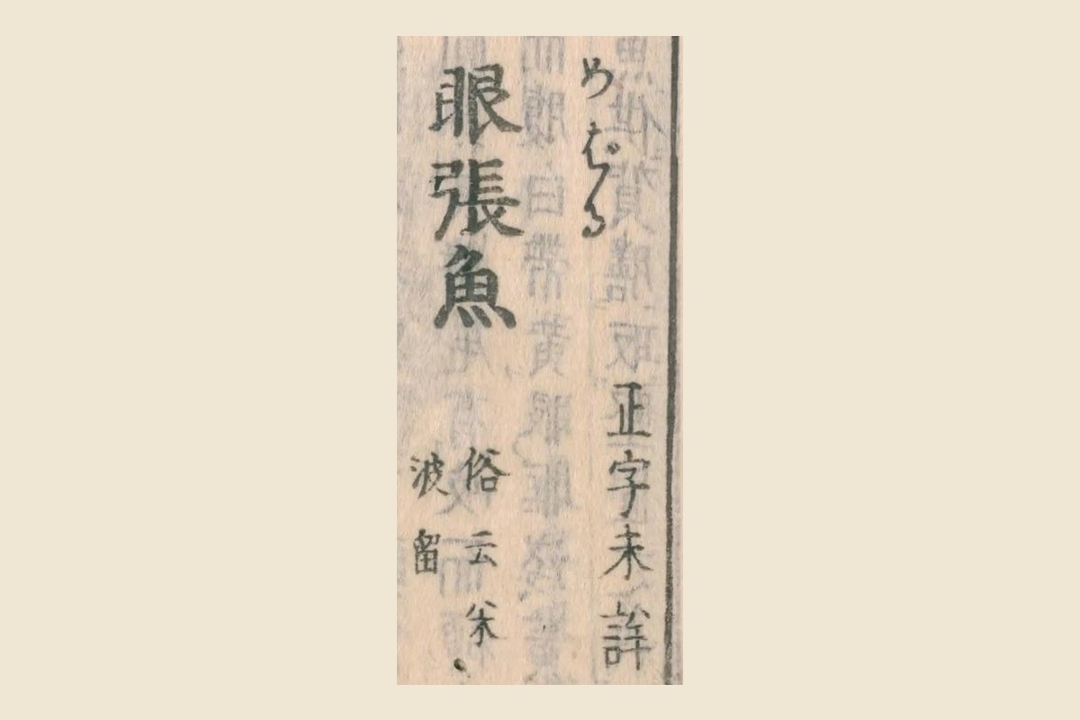 『和漢三才図会』巻四十九コマ22の見出し「眼張魚」と振り仮名「めばる」、「正字未詳」「俗云米波留」の大写し