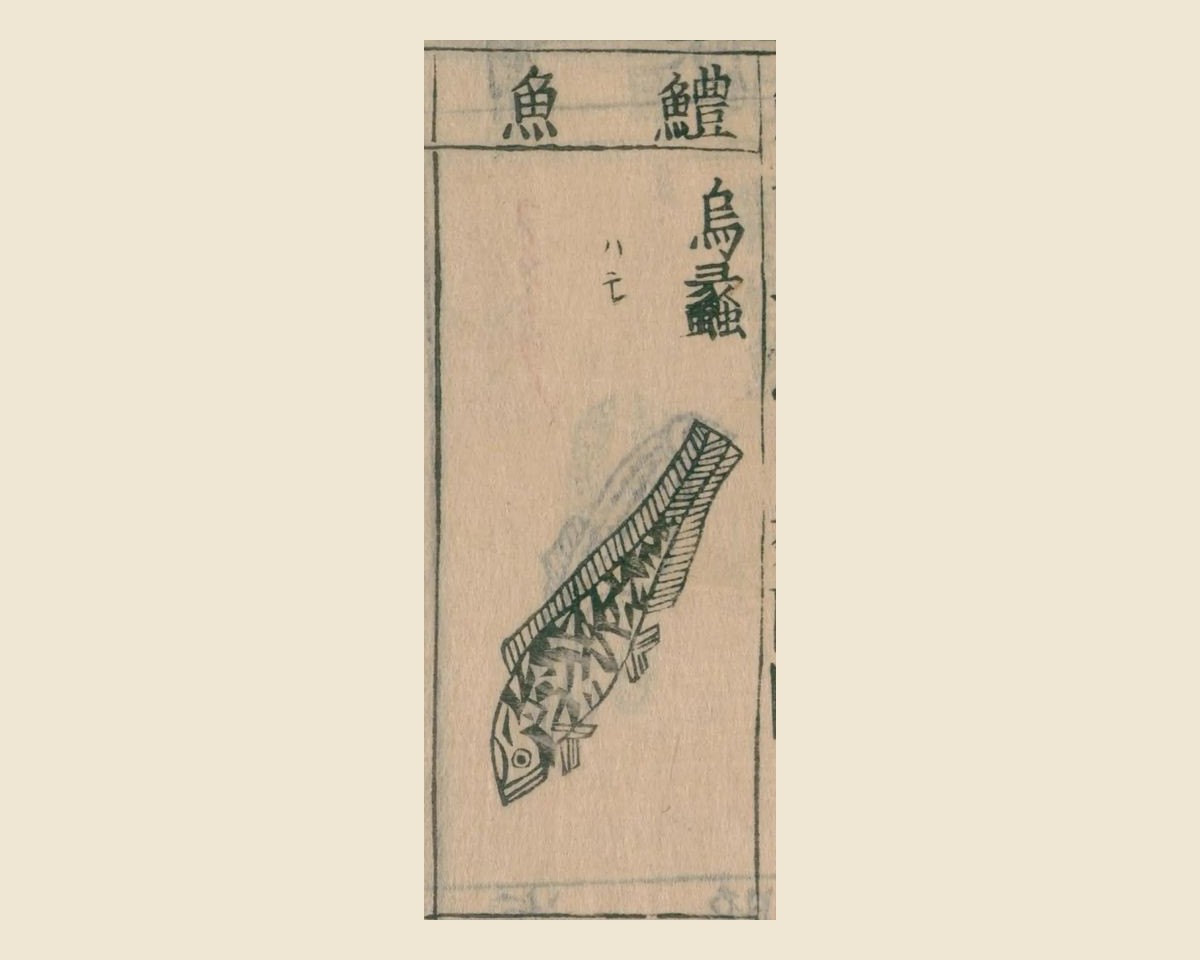 『本草綱目』附図の区画「鱧魚」。「烏蠡」の名と小さな「ハモ」の文字、背びれの長いずんぐりした魚の図