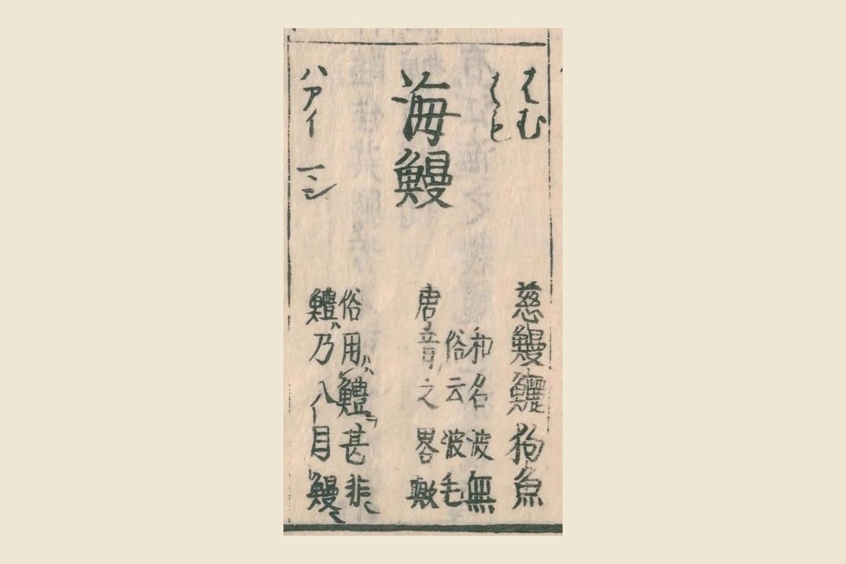 『和漢三才図会』の見出し「海鰻（はむ・はも）」と「和名波無 俗云波毛 唐音之畧歟」「俗用鱧甚非 鱧乃八目鰻」の大写し