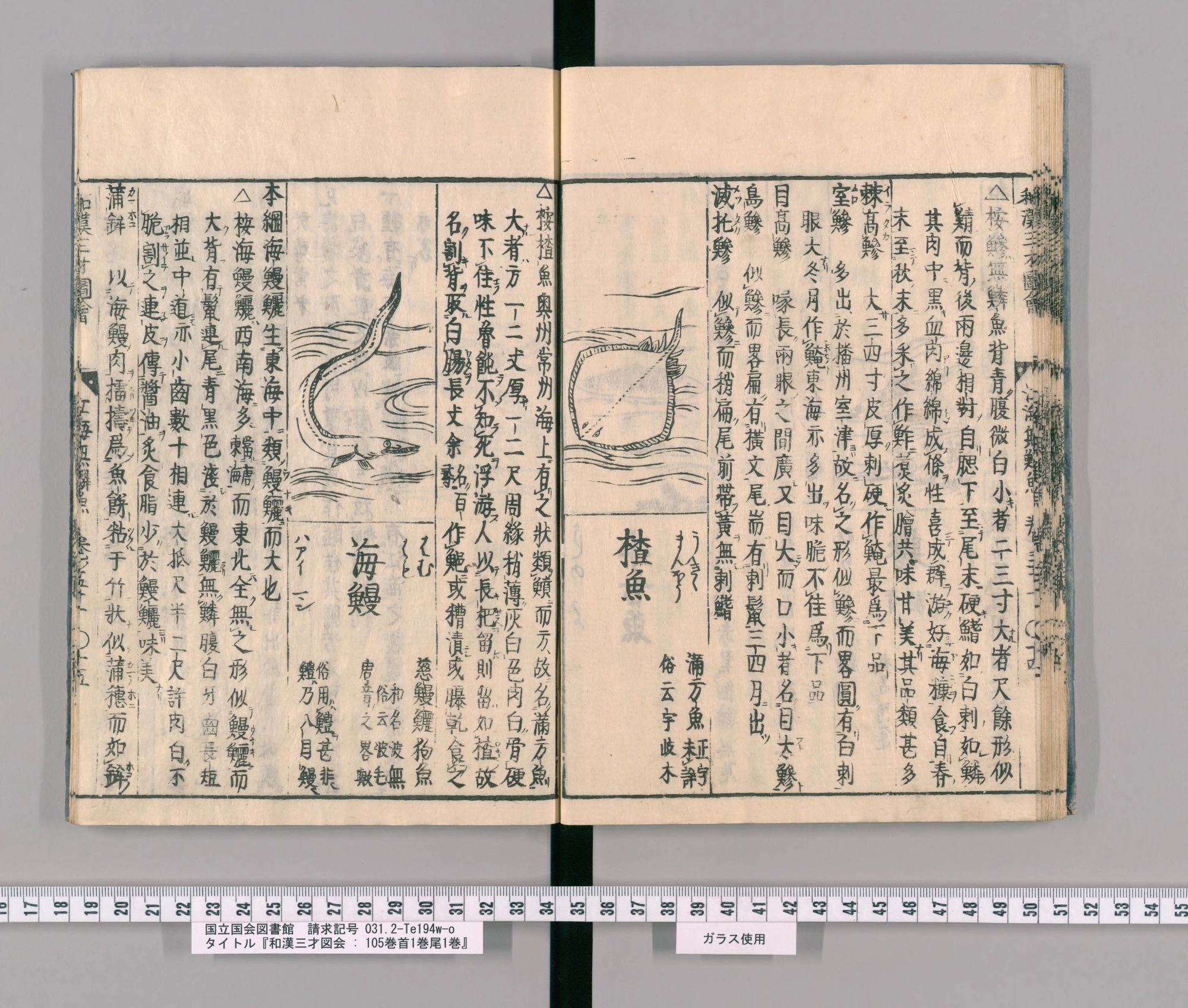 『和漢三才図会』巻五十コマ25の見開き。左ページに口を開けた細長い魚の絵と見出し「海鰻」、右ページにマンボウの絵