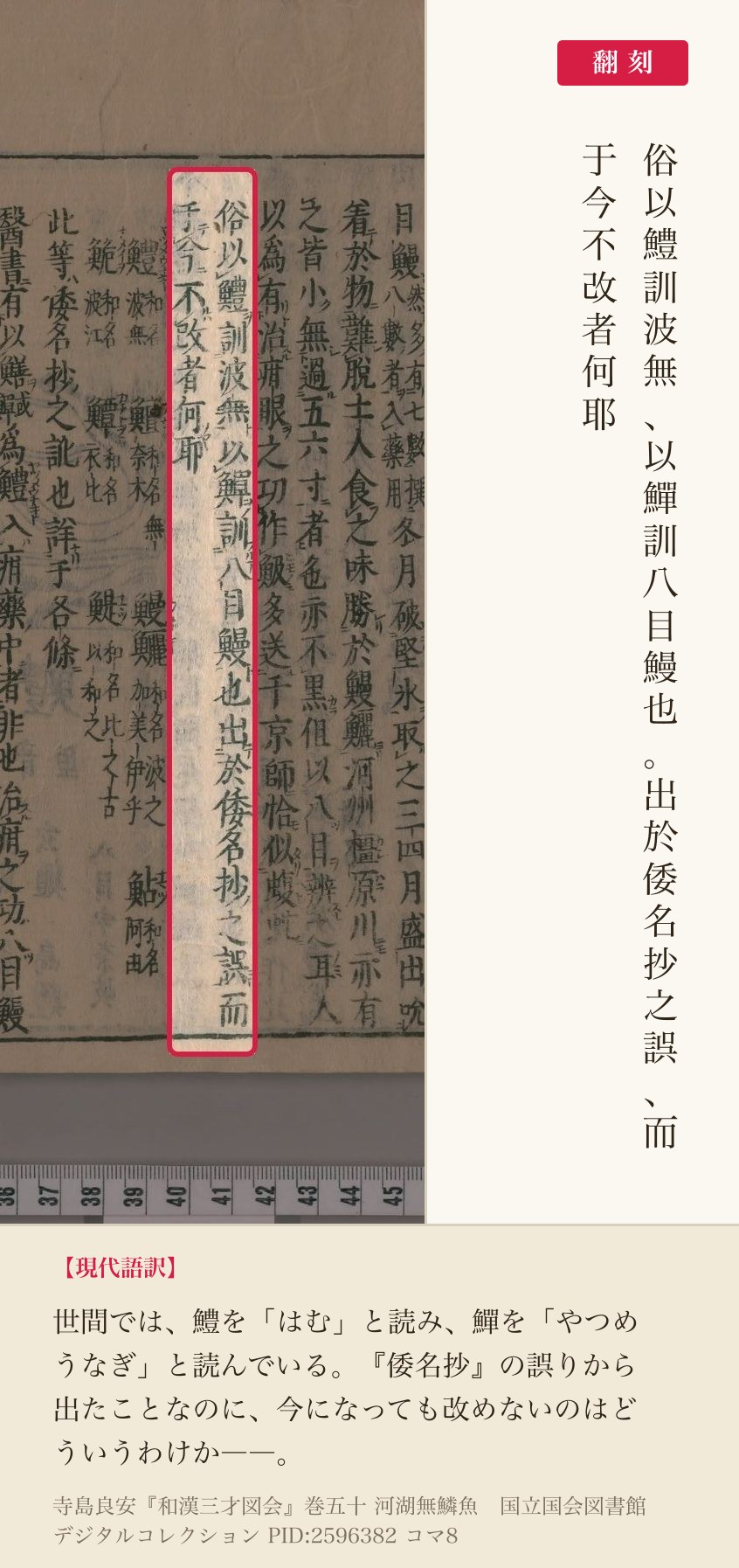 『和漢三才図会』巻五十コマ8の「俗以鱧訓波無」から「于今不改者何耶」までの2列と翻刻
