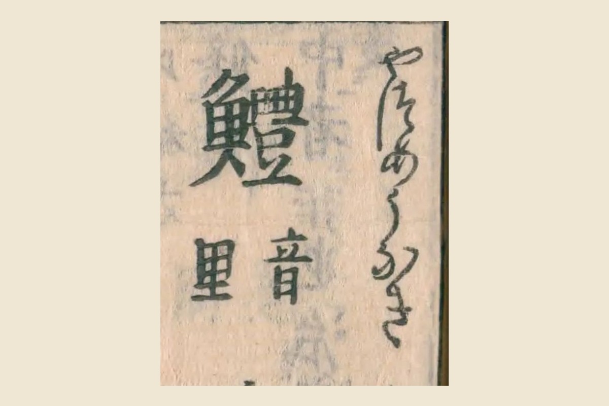 『和漢三才図会』の見出し「鱧」と振り仮名「やつめうなぎ」、「音里」の大写し