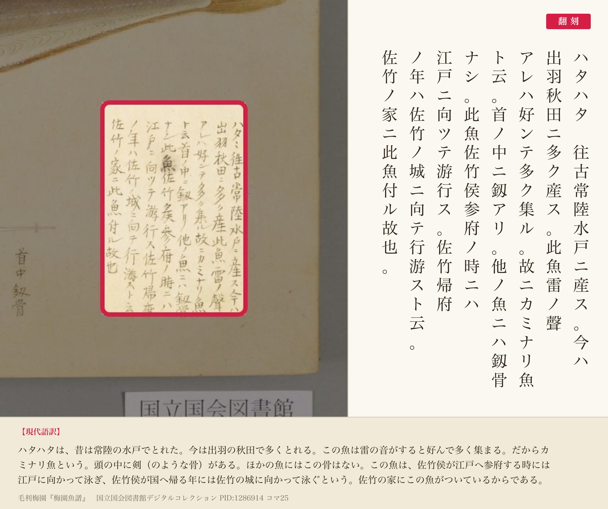 『梅園魚譜』コマ25の右下の書き入れ「ハタハタ往古常陸水戸ニ産ス」から「佐竹ノ家ニ此魚付ル故也」までと翻刻