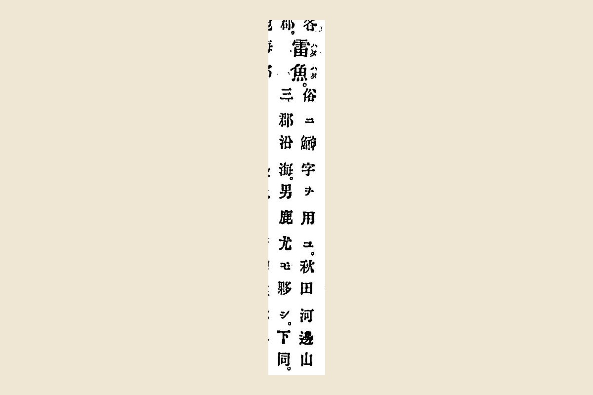 『日本地誌提要』巻之三十五の物産欄「雷魚　俗ニ鰰字ヲ用ユ　秋田河邊山本三郡沿海　男鹿尤モ夥シ」の大写し