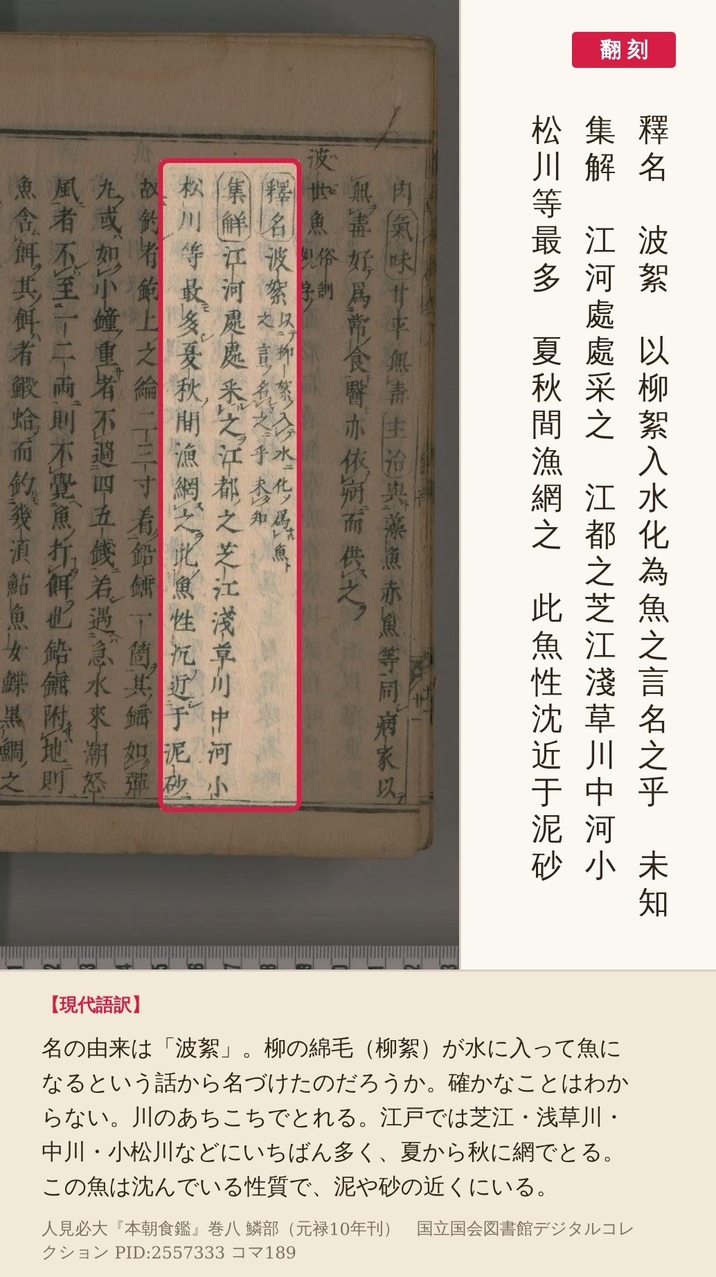 『本朝食鑑』コマ189の釋名と集解の書き出しを赤枠で囲み、翻刻と現代語訳を並べた画像