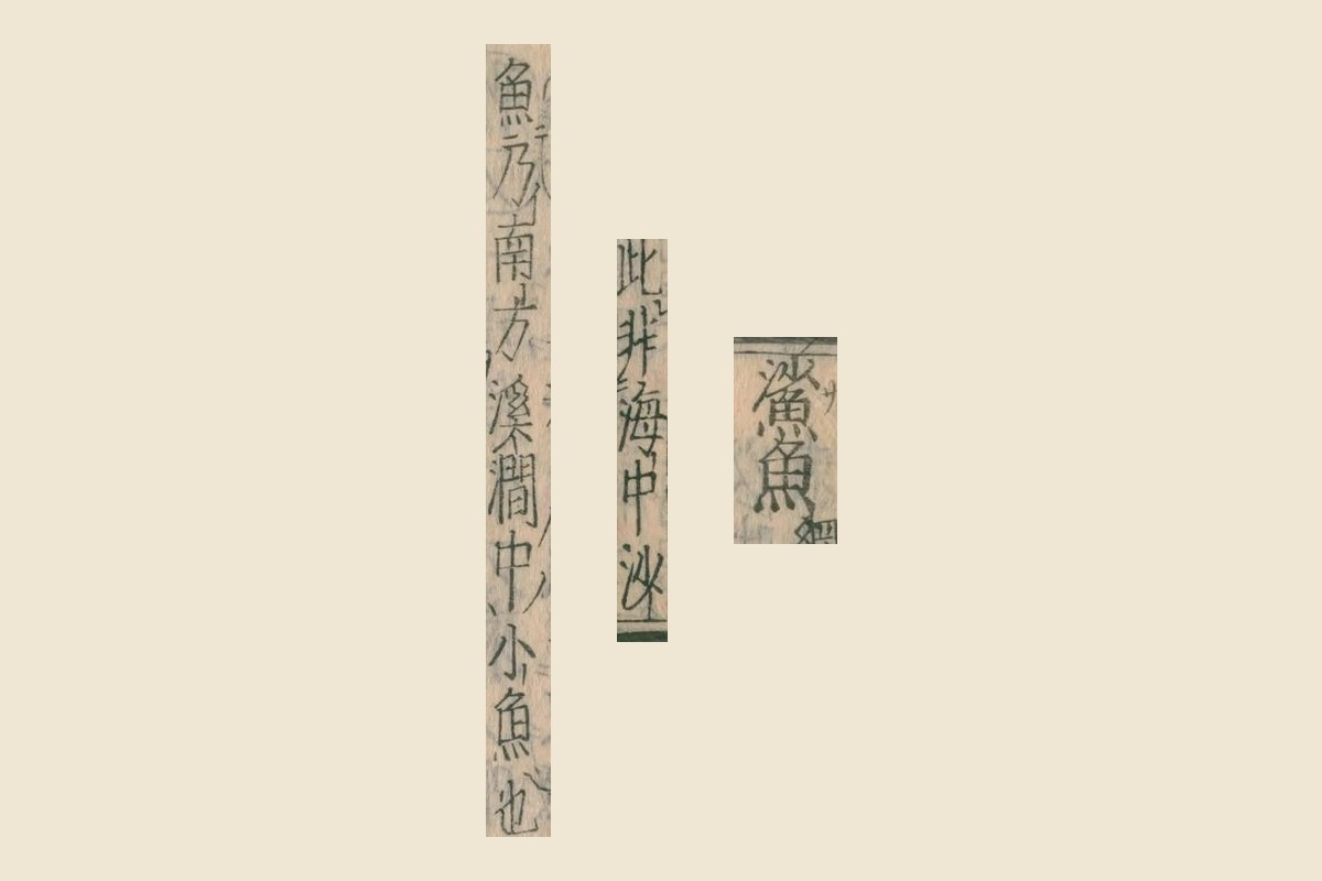 『本草綱目』コマ75の見出し「鯊魚」と「此非海中沙」「魚乃南方溪澗中小魚也」の大写し