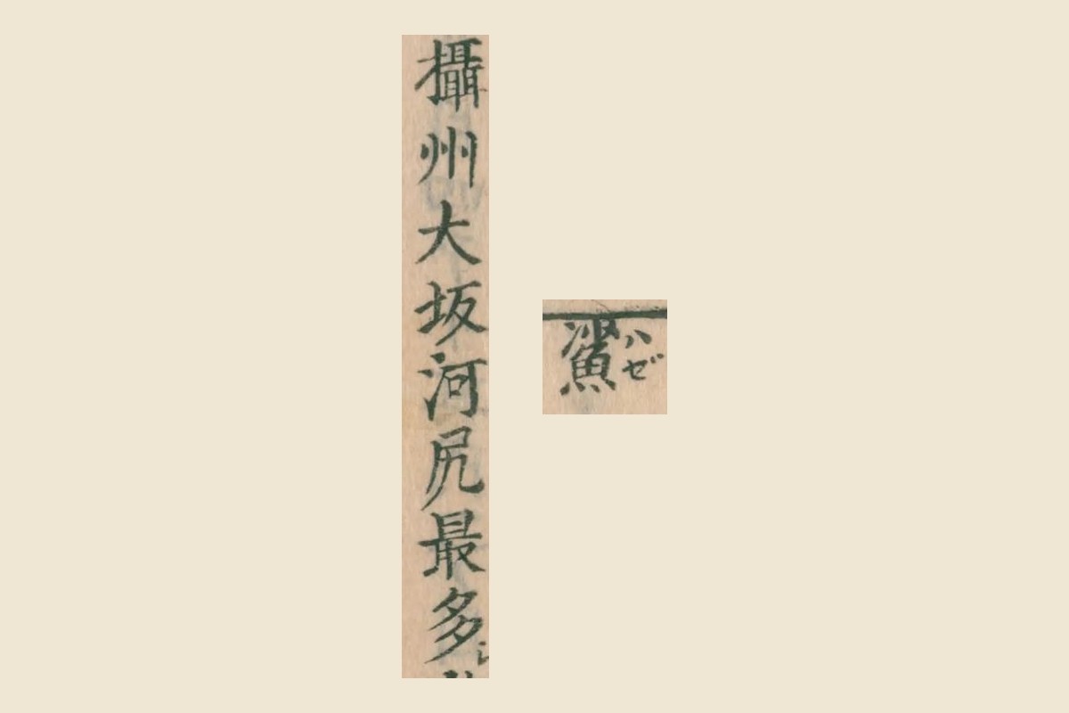 『大和本草』コマ17の見出し「鯊」（ハゼ）と「攝州大坂河尻最多」の大写し