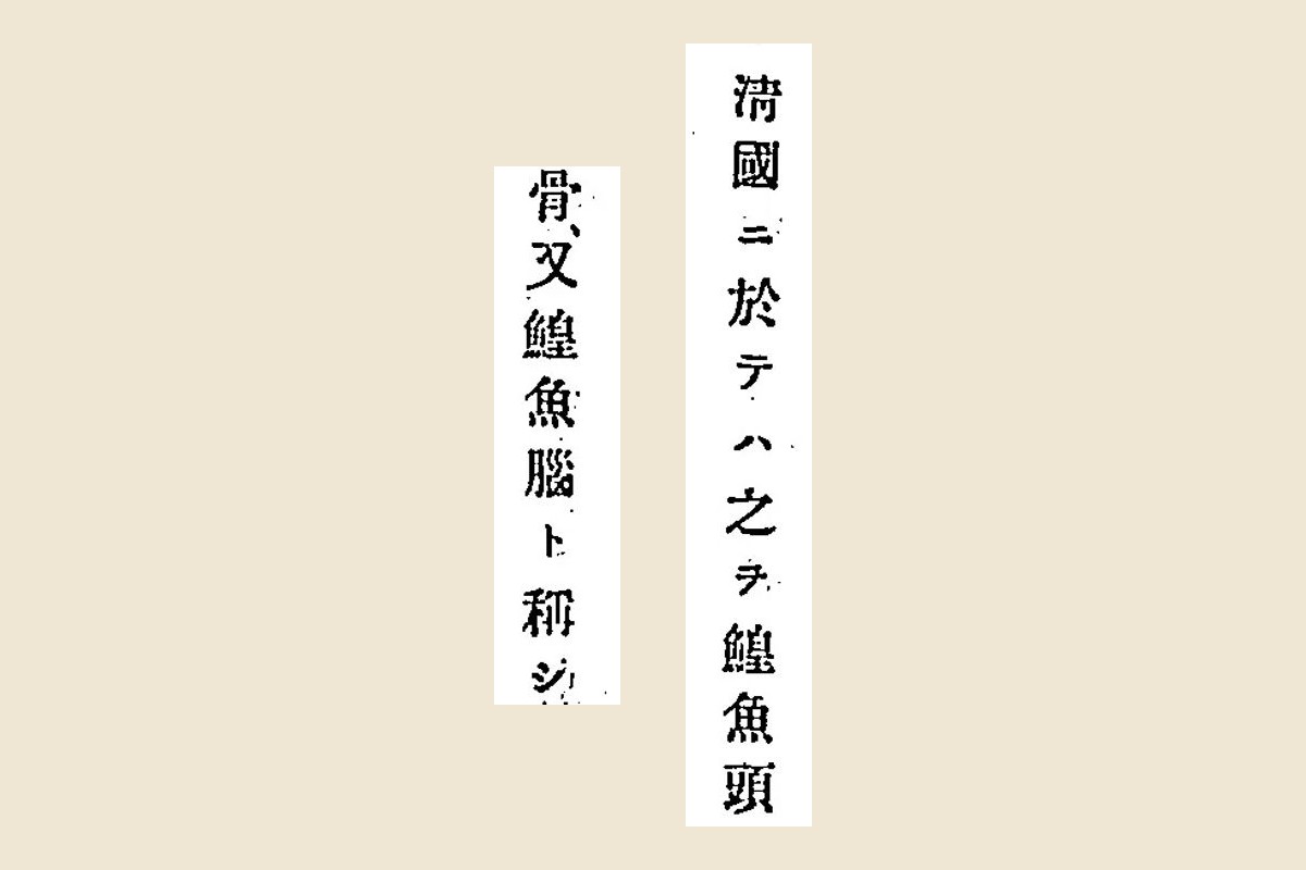 『日本水産動物学』コマ154の「淸國ニ於テハ之ヲ鰉魚頭」「骨、又鰉魚腦ト稱シ」の大写し