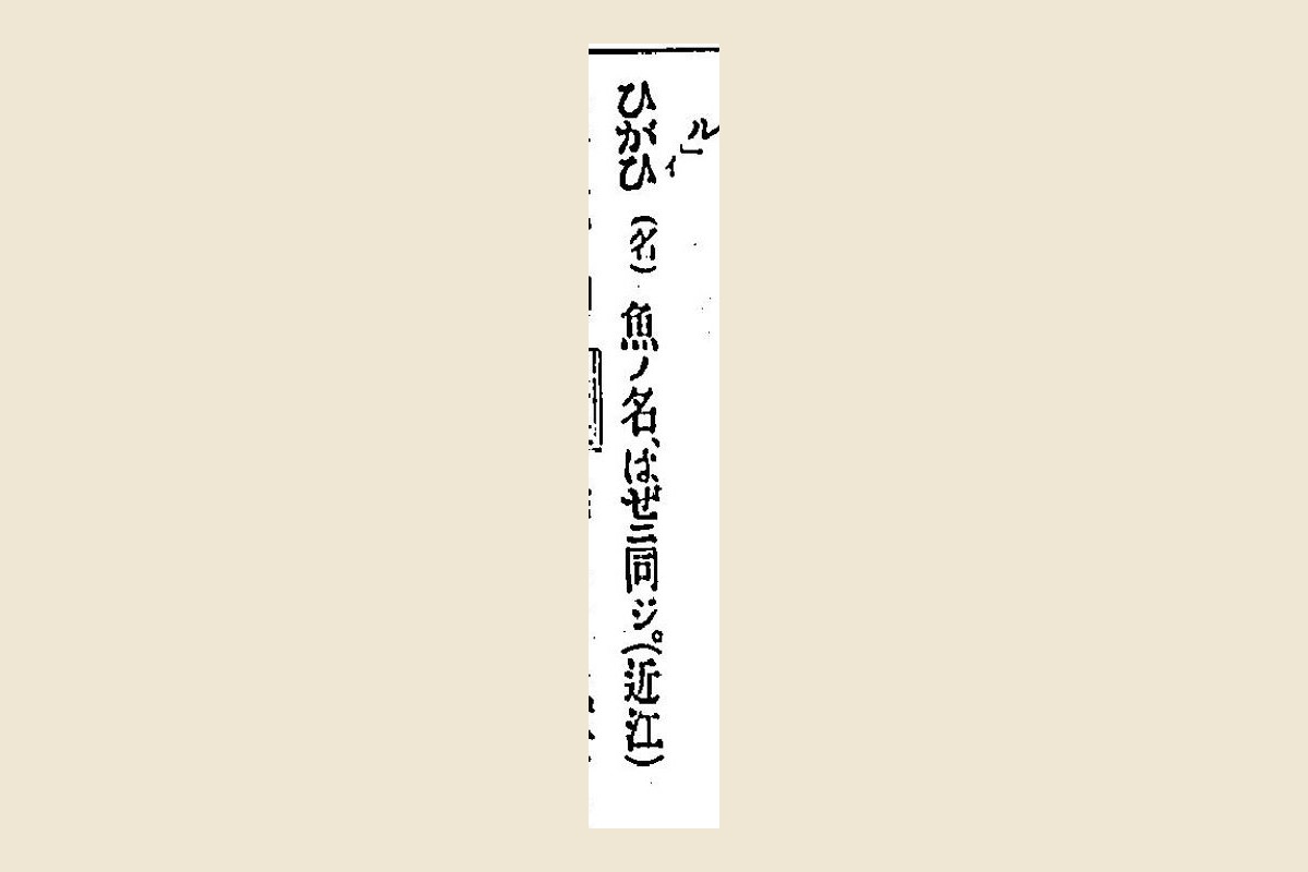 『言海』コマ501の「ひがひ（名）魚ノ名、はぜニ同ジ。（近江）」の大写し
