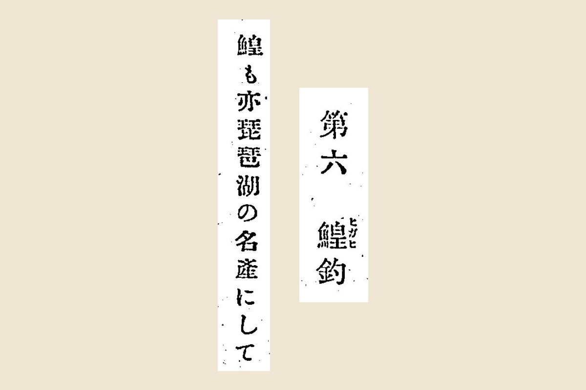 『日本水産捕採誌』コマ16の見出し「第六 鰉釣」（鰉に振り仮名ヒガヒ）と本文「鰉も亦琵琶湖の名產にして」の大写し