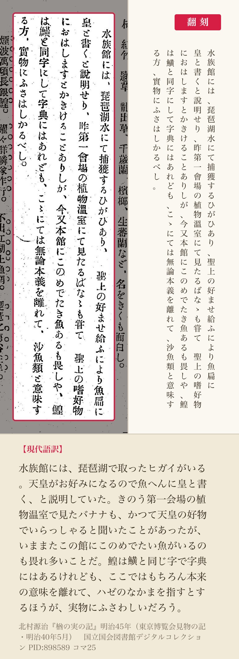 『楢の実の記』コマ25の該当箇所に赤枠。翻刻「水族館には、琵琶湖水にて捕獲するひがひあり、聖上の好ませ給ふにより魚扁に皇と書くと說明せり…鰉は鱑と同字にして字典にはあれども、こゝにては無論本義を離れて」