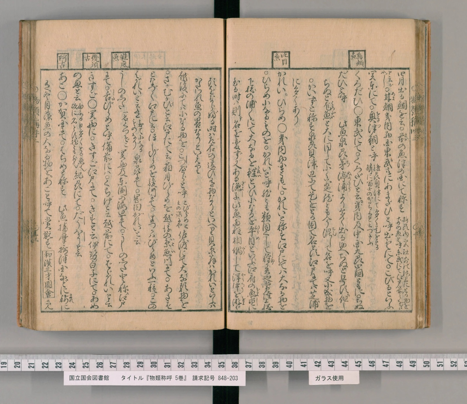 『物類称呼』巻二を開いたところ。右ページ中ほどの頭注の枠に「比目魚」とある