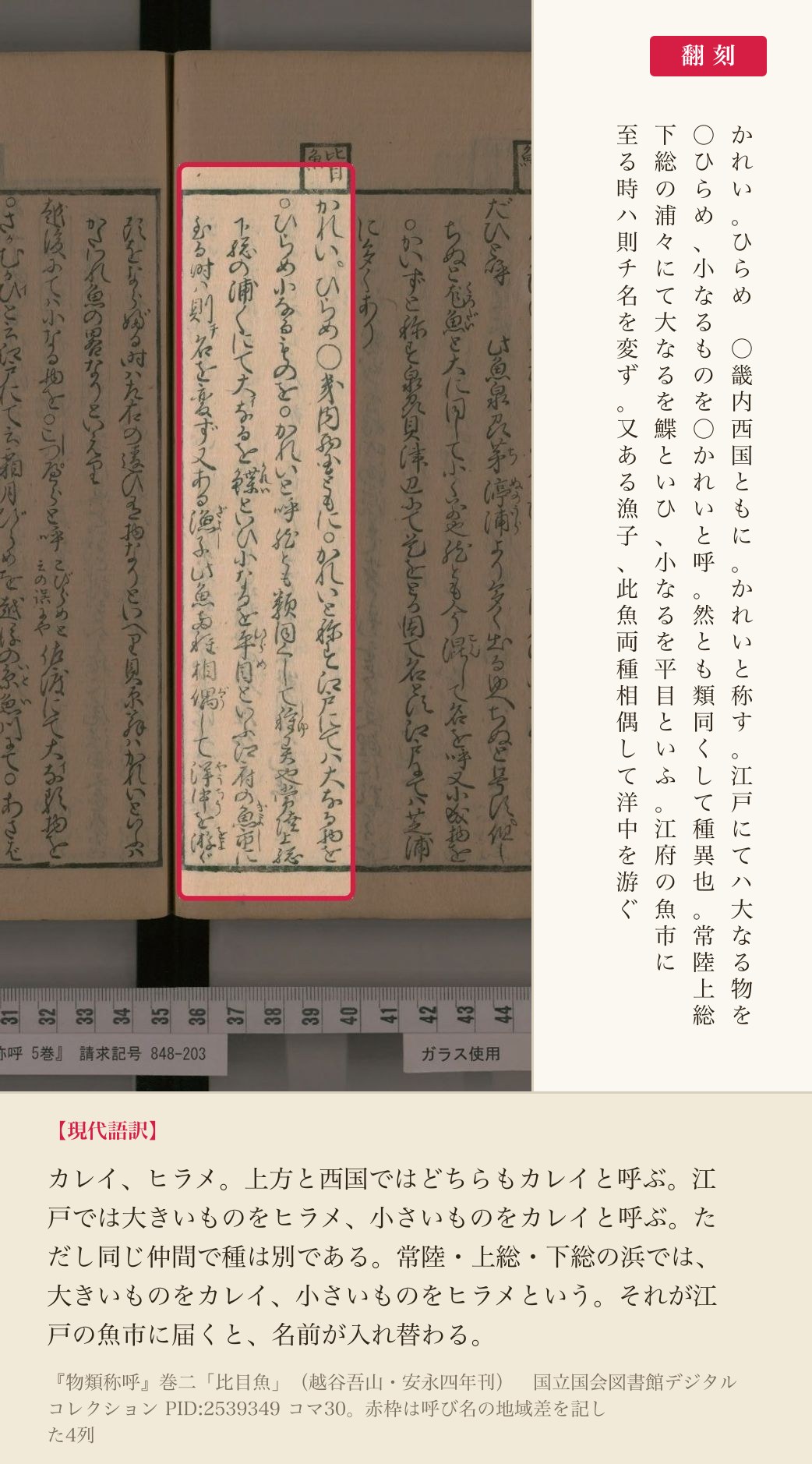 『物類称呼』巻二「比目魚」の、呼び名の地域差を記した4列と翻刻