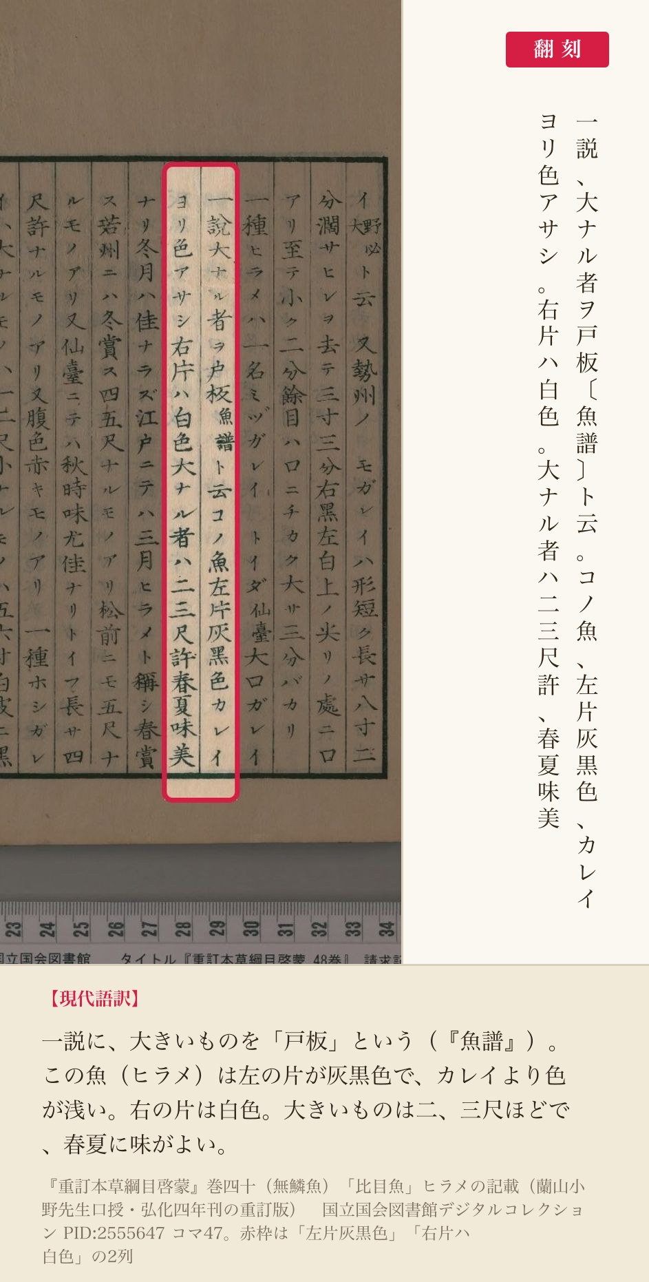 『重訂本草綱目啓蒙』巻四十「比目魚」ヒラメの記載、「左片灰黒色」「右片ハ白色」の2列と翻刻