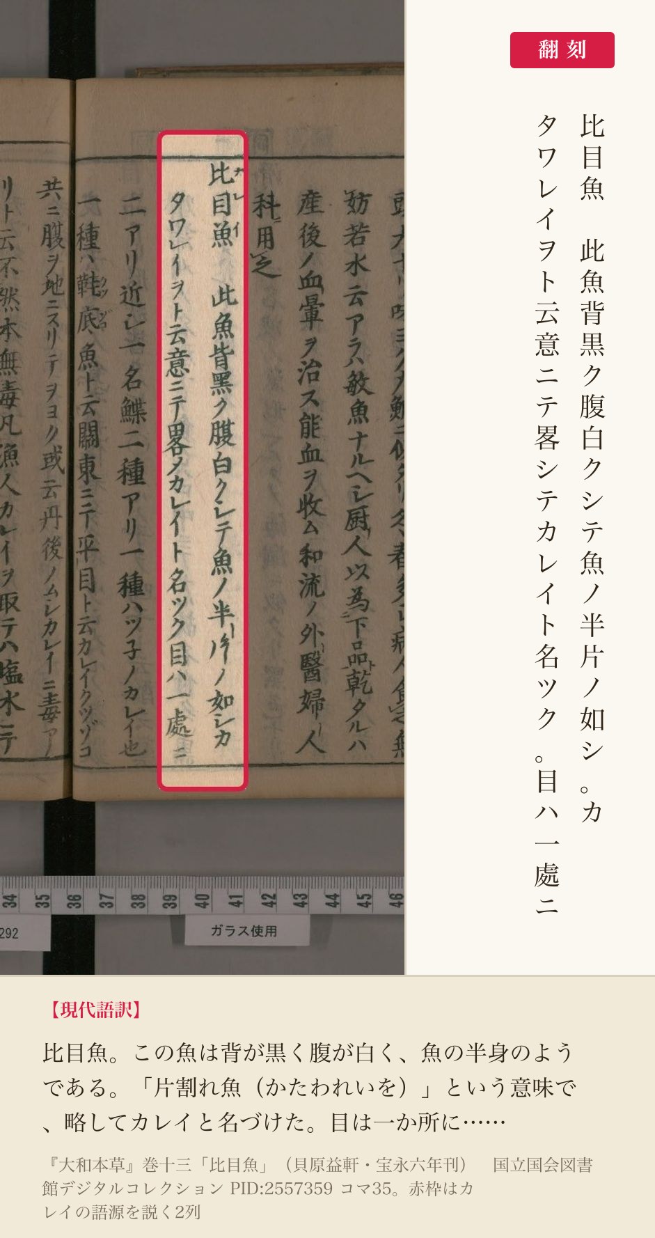 『大和本草』巻十三「比目魚」の、カレイの語源を説く2列と翻刻