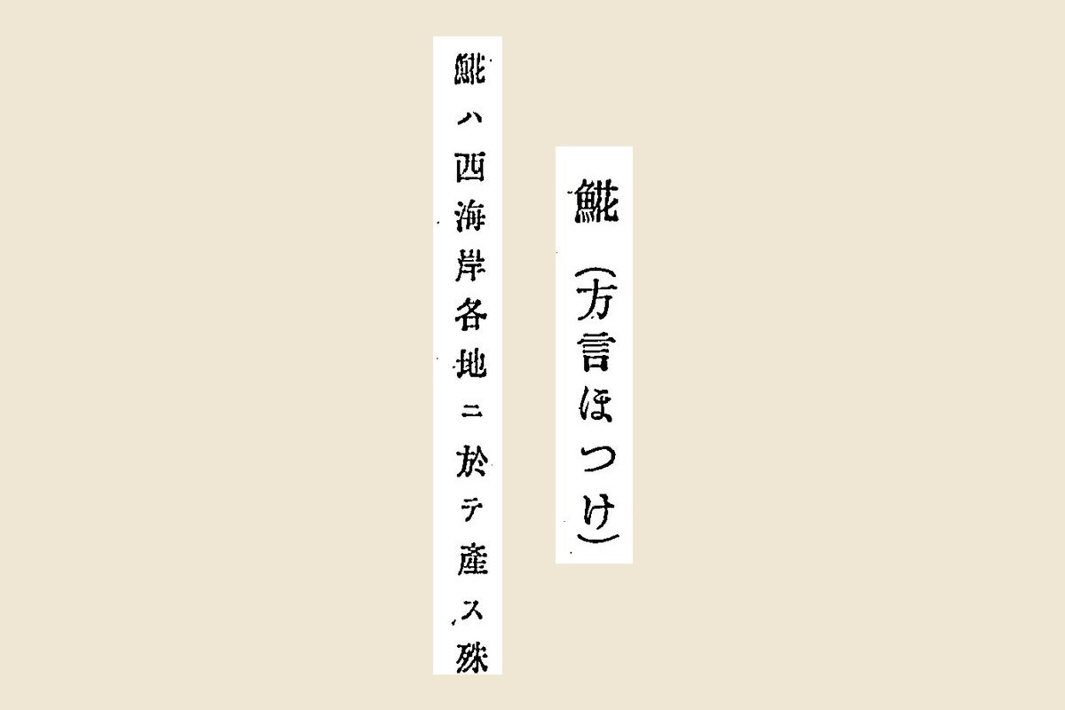 『北海道水産予察調査報告』コマ128の見出し「𩸽（方言ほつけ）」と本文「𩸽ハ西海岸各地ニ於テ産ス」の大写し