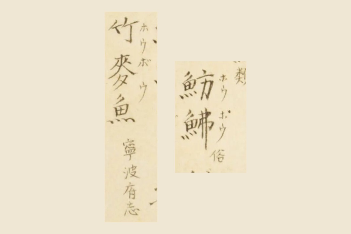 『梅園魚品図正』コマ9の書き入れ「魴鮄 ホウボウ 俗」と「竹麥魚 ホウボウ 寧波府志」の大写し