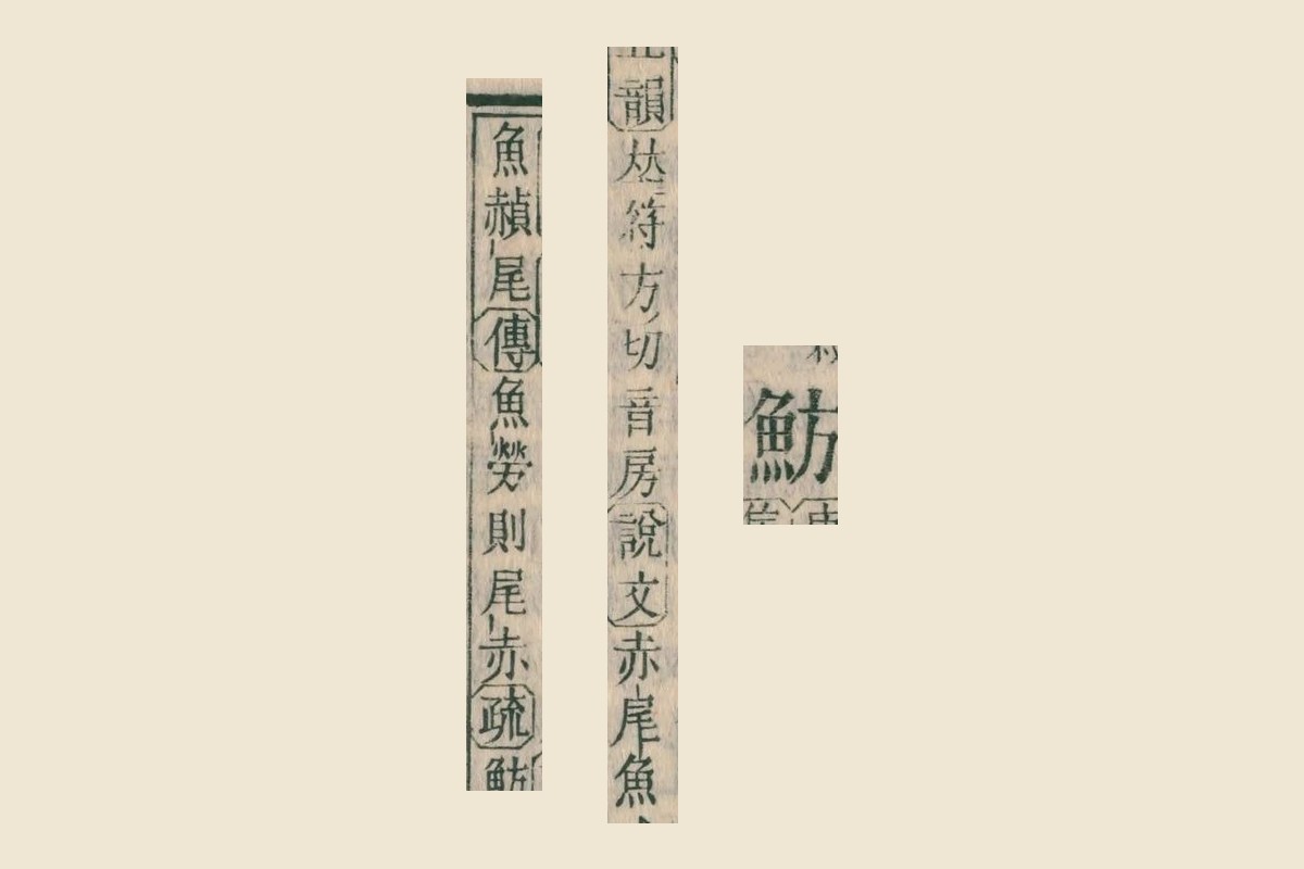 『康熙字典』コマ7の見出し「魴」と、説明「符方切音房」「說文 赤尾魚」「魚赬尾 傳 魚勞則尾赤」の大写し