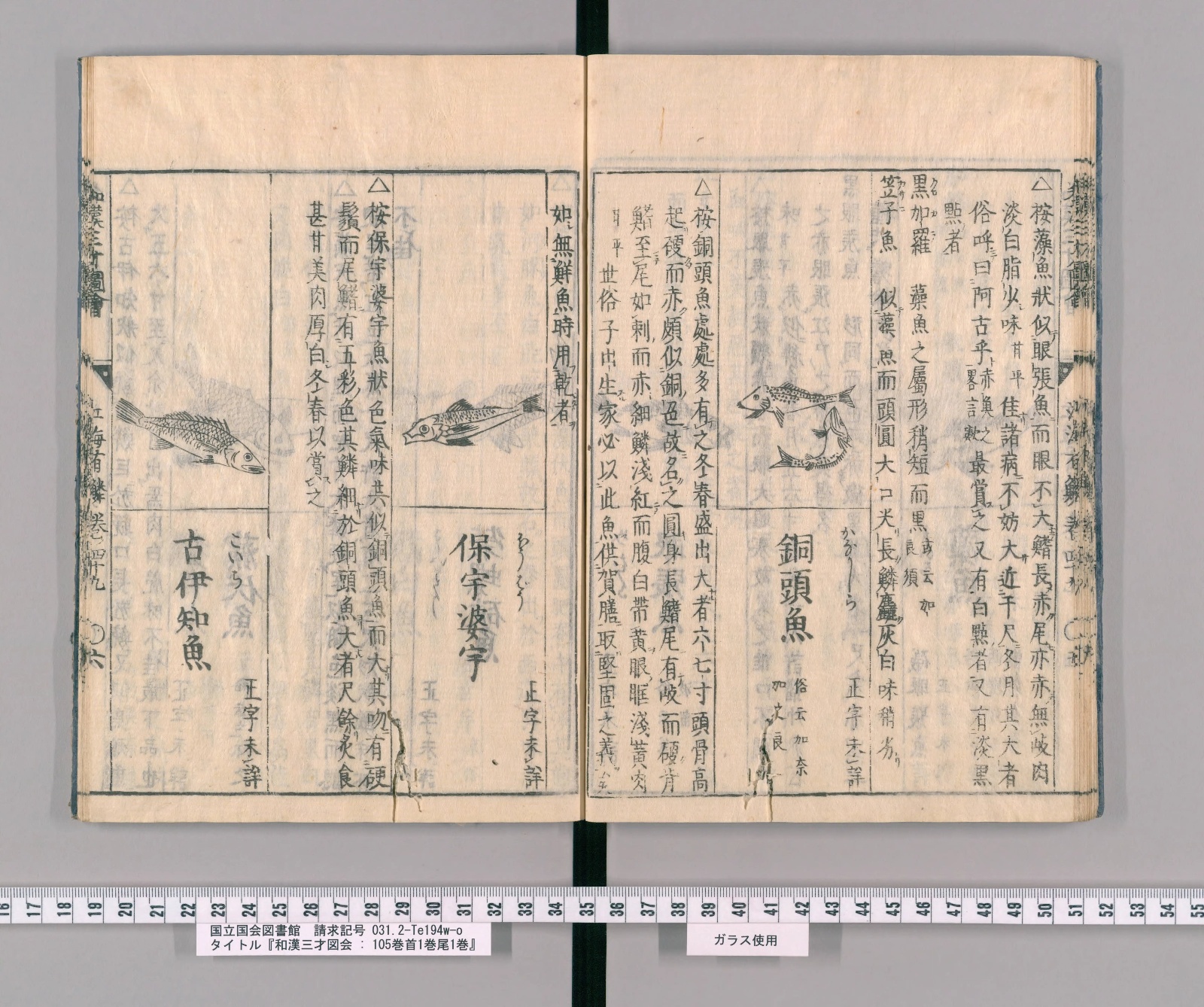 『和漢三才図会』巻四十九コマ23の見開き。左ページの右に魚の絵と見出し「保宇婆宇」