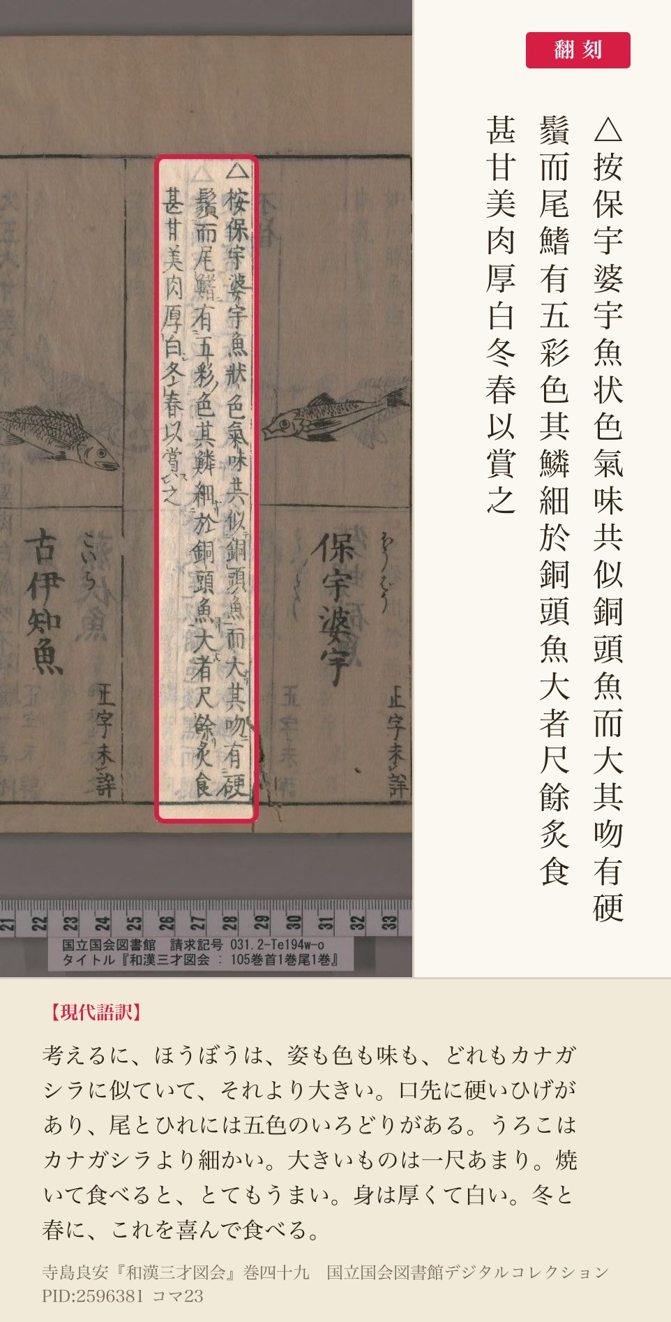 『和漢三才図会』コマ23のホウボウの項の本文3列と翻刻