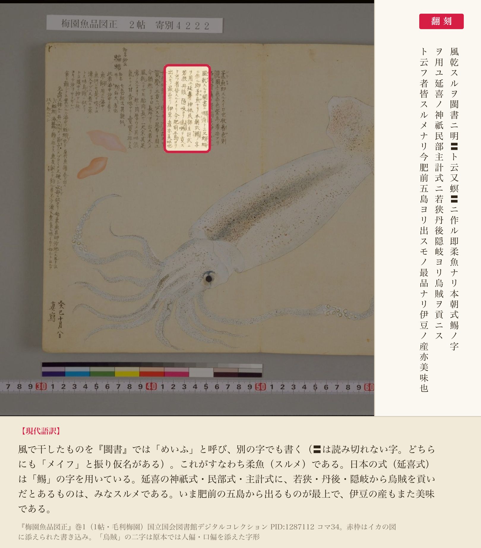 『梅園魚品図正』巻1（1帖）コマ34、スルメと延喜式について記した書き込みと翻刻