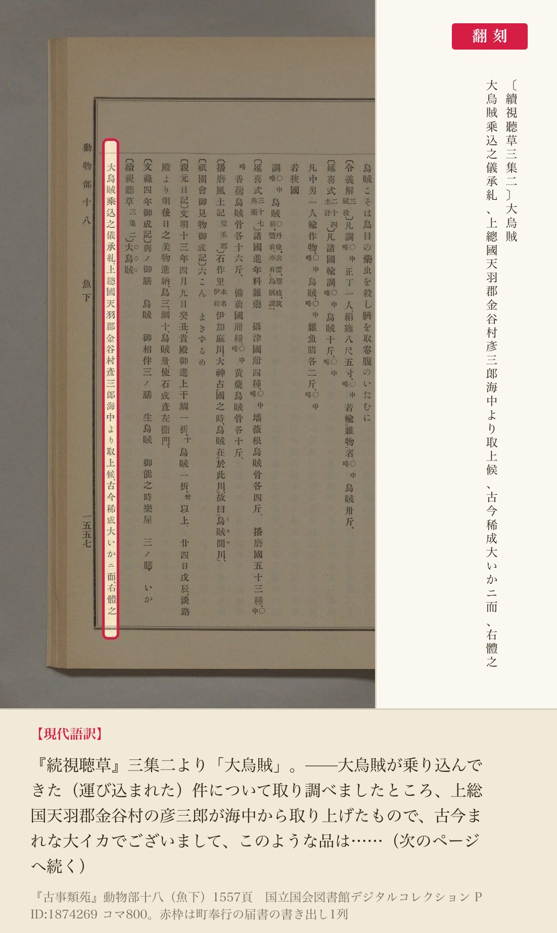『古事類苑』動物部十八に収められた「大烏賊」の届書の書き出しと翻刻