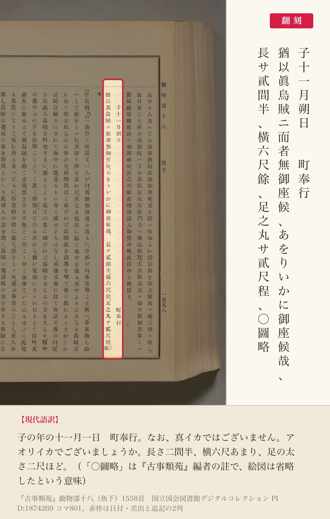 届書の日付・差出と、寸法を書き添えた追記の翻刻