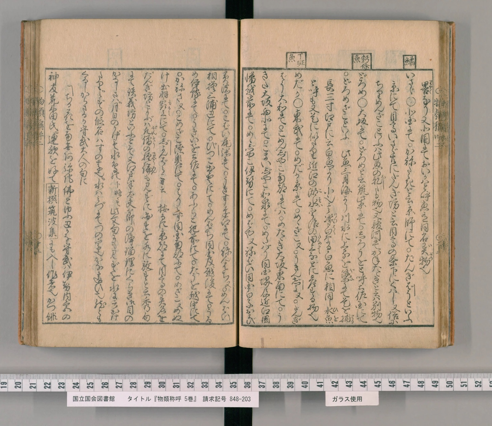 『物類称呼』コマ32の見開き。右ページの右寄りの上の欄外に四角で囲んだ見出し