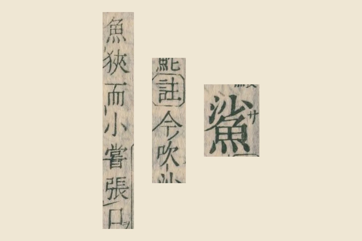 『康熙字典』コマ18の見出し「鯊」と、説明「註 今吹沙（小魚）」「魚狹而小嘗張口」の大写し