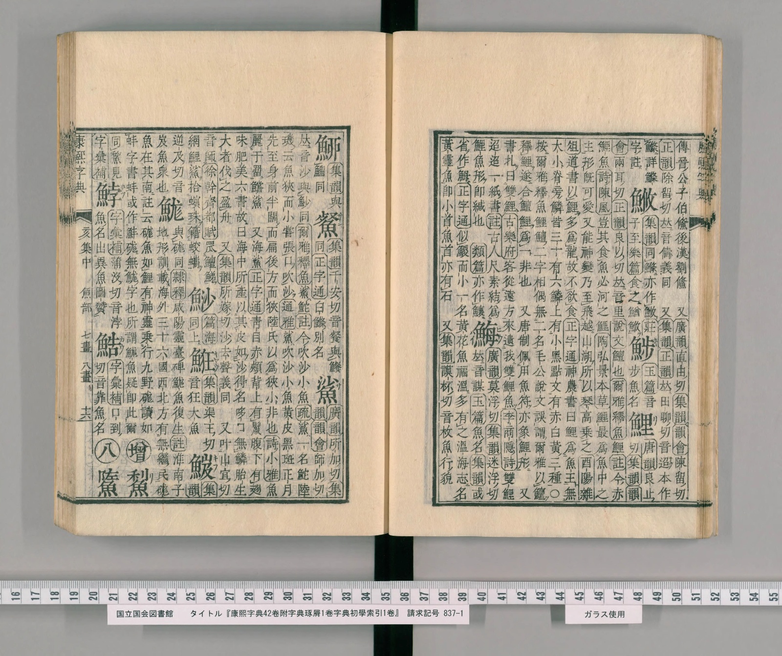 『康熙字典』魚部コマ18の見開き。左ページの右寄りに見出しの字「鯊」
