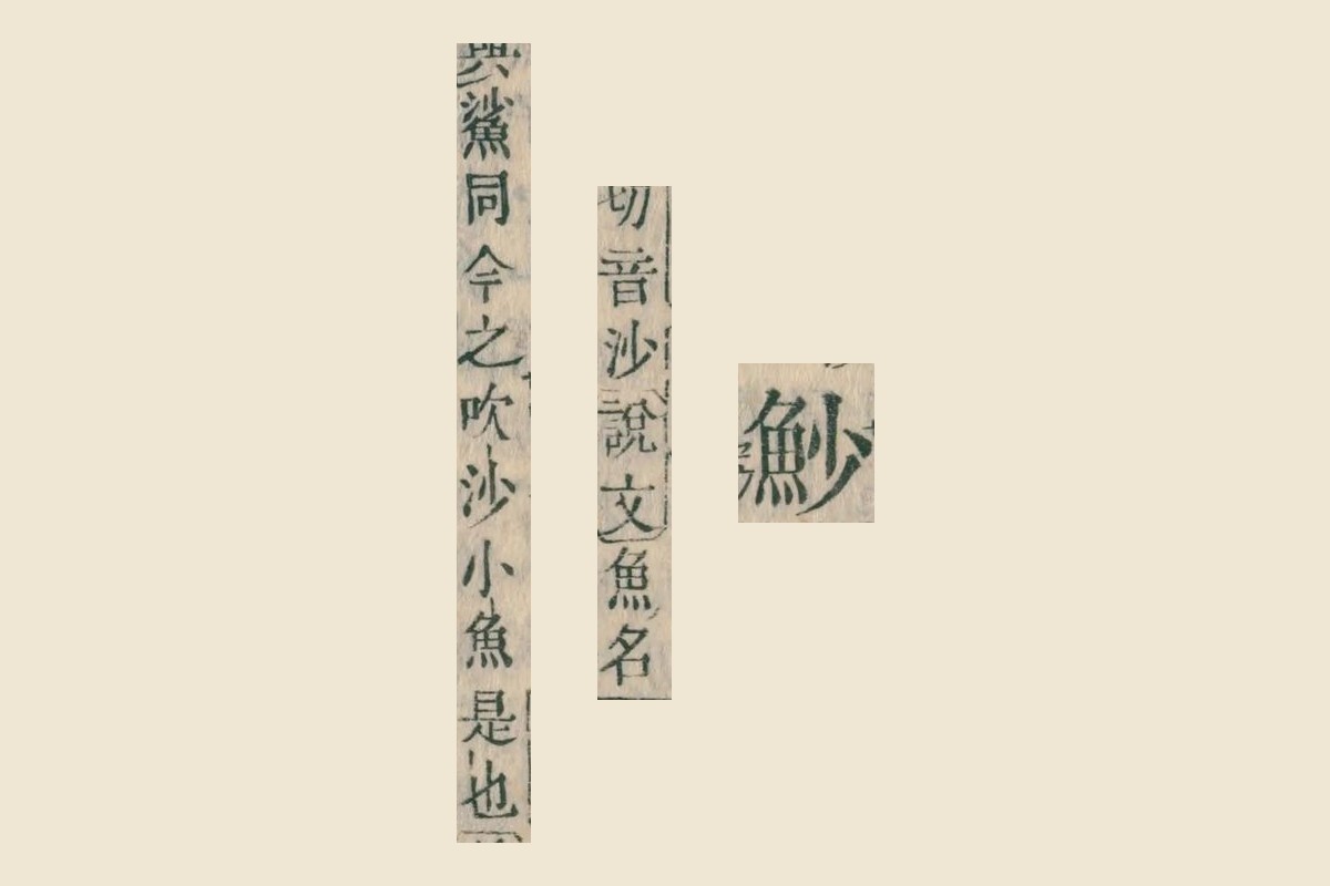 『康熙字典』コマ5の見出し「魦」と、説明「切音沙 說文 魚名」「與鯊同 今之吹沙小魚是也」の大写し