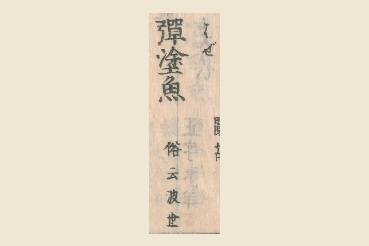 『和漢三才図会』コマ15の見出し「彈塗魚」と振り仮名「はぜ」、注「俗云波世」の大写し