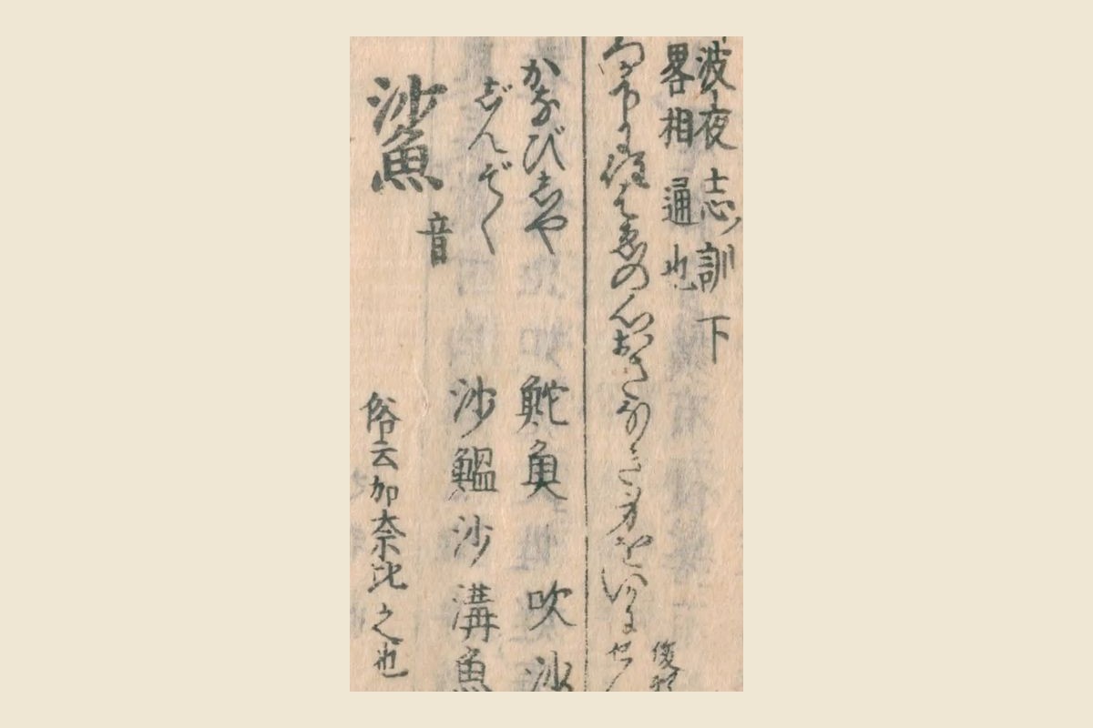 『和漢三才図会』コマ13の見出し「鯊」と振り仮名「かなびしや」「じんぞく」、別名「鮀魚 吹沙 沙鰛 沙溝魚」「俗云加奈比之也」の大写し
