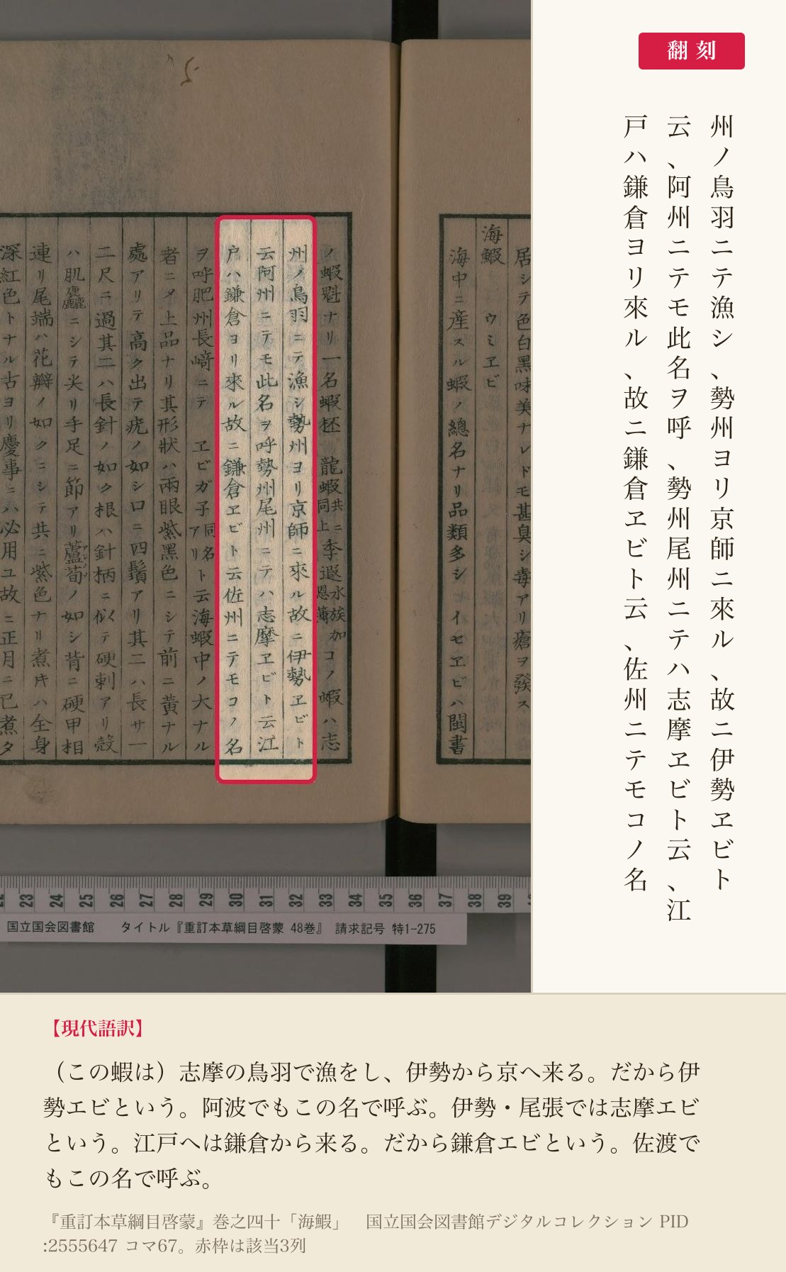 『重訂本草綱目啓蒙』「海鰕」の、産地と呼び名を記した3列と翻刻