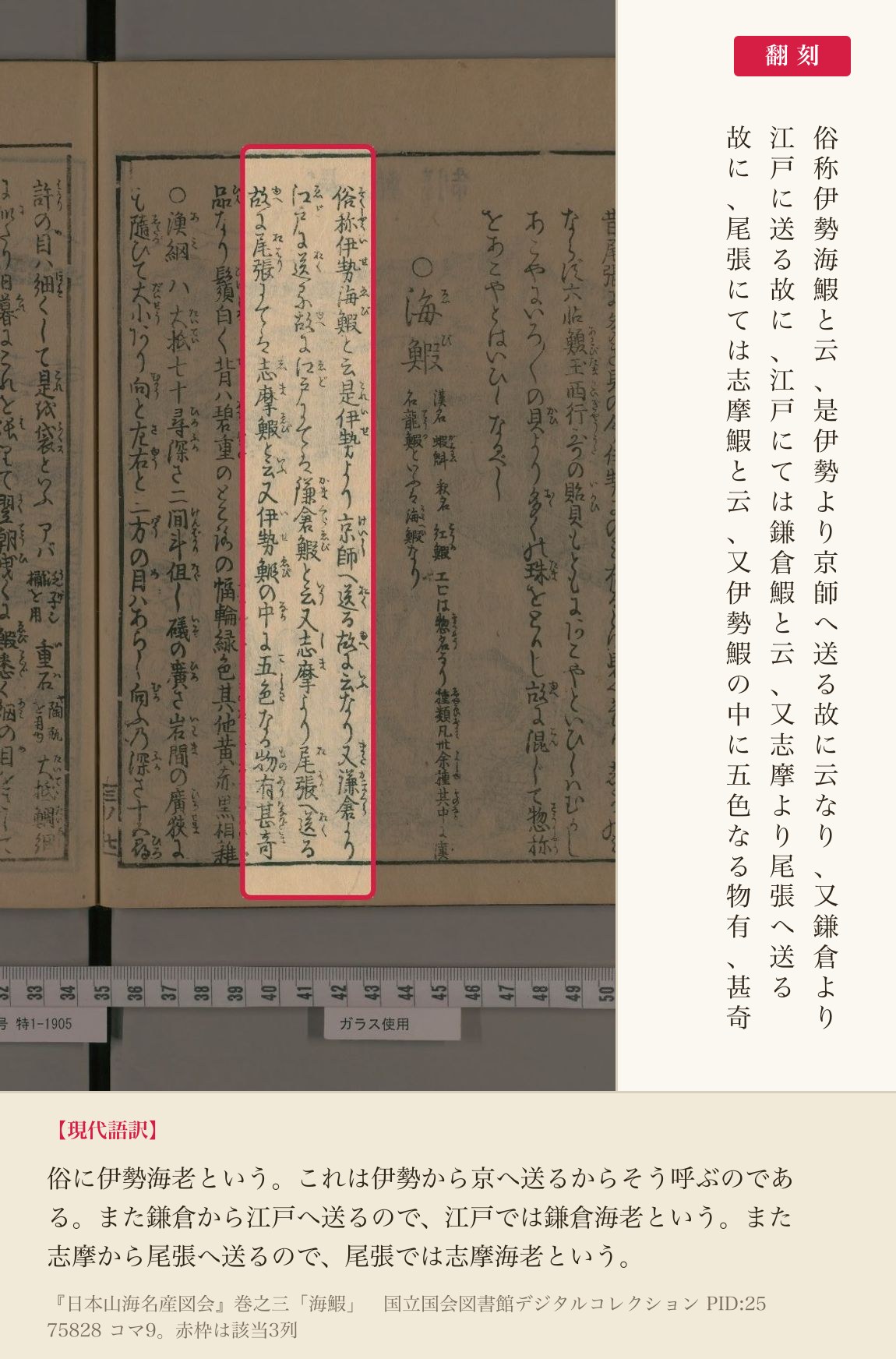 『日本山海名産図会』巻之三「海鰕」の、名前の由来を記した3列と翻刻