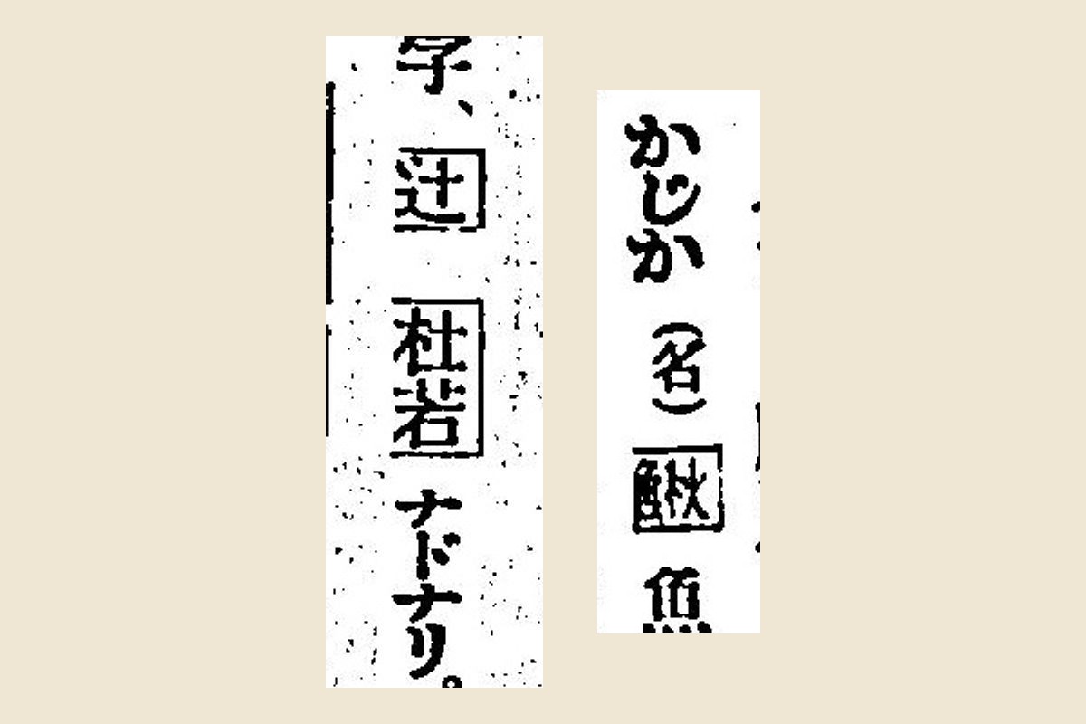 『言海』凡例の「和ノ通用字、辻 杜若 ナドナリ」と、「かじか（名）鰍」の大写し