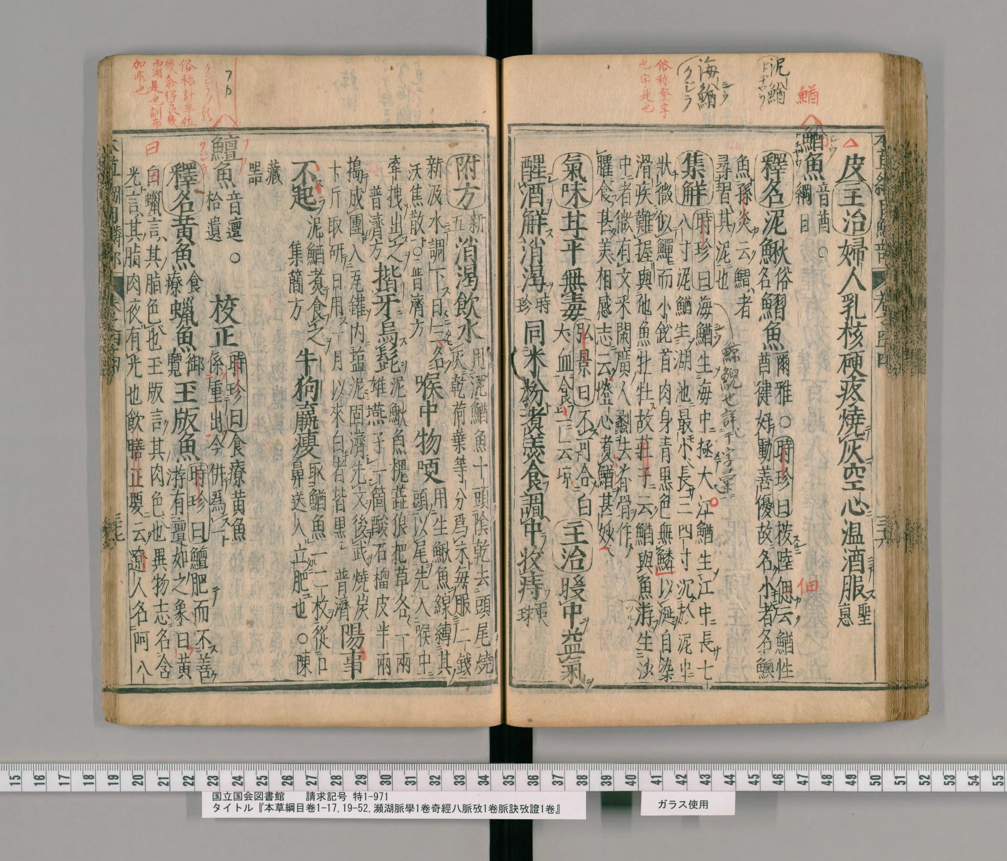 『本草綱目』巻四十四コマ84の見開き。右ページの上に朱の書き入れ、見出しに「鰌魚」