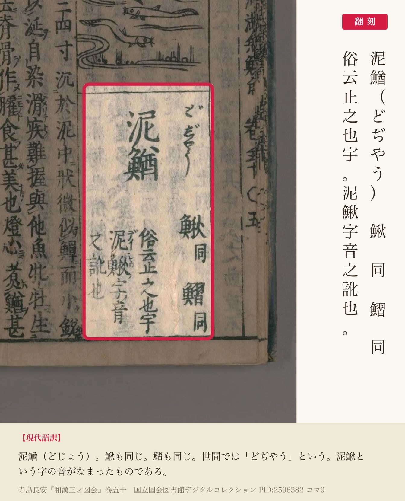 『和漢三才図会』コマ9の見出し「泥鰌」から「泥鰍字音之訛也」までと翻刻