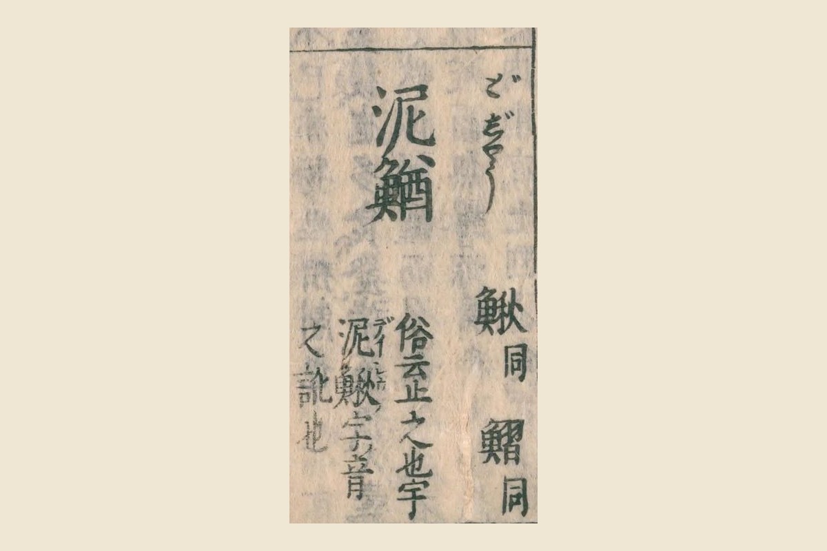 『和漢三才図会』の見出し「泥鰌（どぢやう）」と脇の「鰍 同」「鰼 同」、下の「俗云止之也宇 泥鰍字音之訛也」の大写し