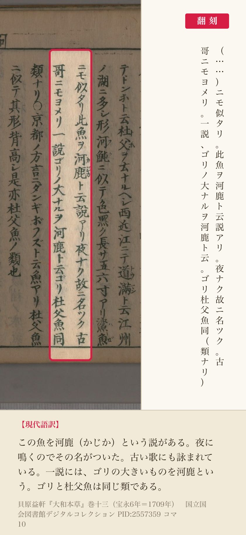 『大和本草』コマ10の「此魚ヲ河鹿ト云説アリ夜ナク故ニ名ツク」を含む2列と翻刻
