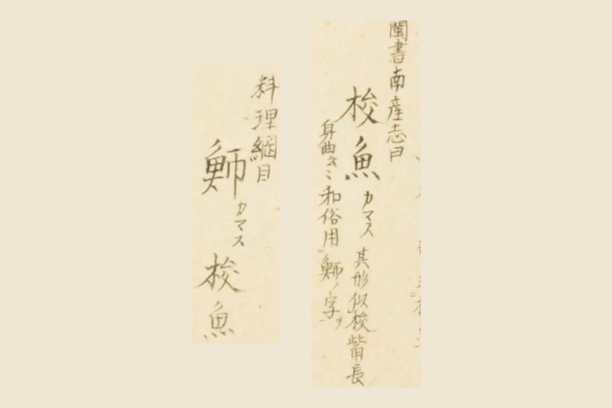 『梅園魚品図正』コマ24の書き入れ「閩書南産志曰 梭魚 カマス 其形似梭…和俗用魳ノ字ヲ」と「料理綱目 魳 カマス 梭魚」の大写し