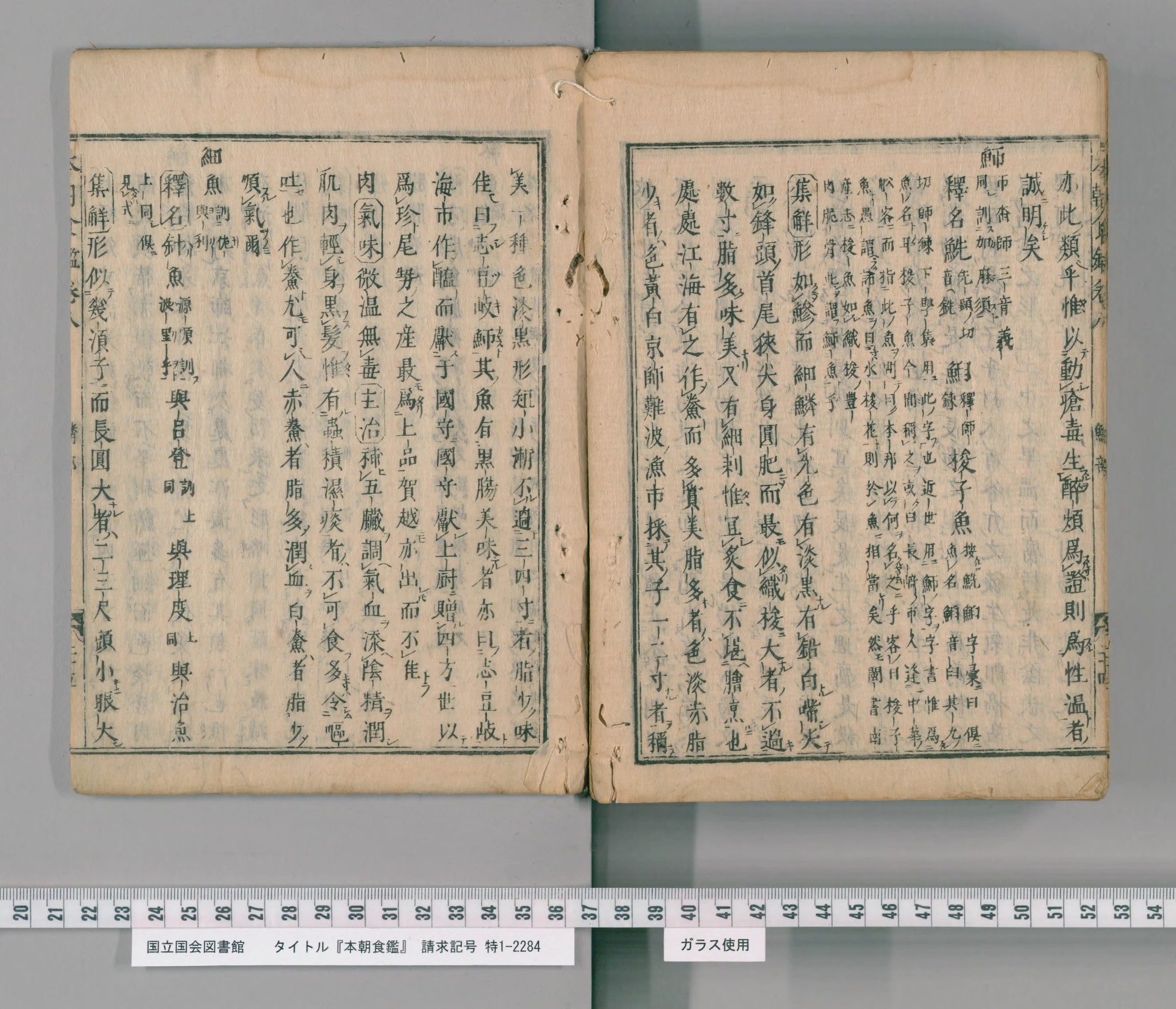 『本朝食鑑』巻八コマ182の見開き。右ページの右から二列目の上に見出しの字「魳」