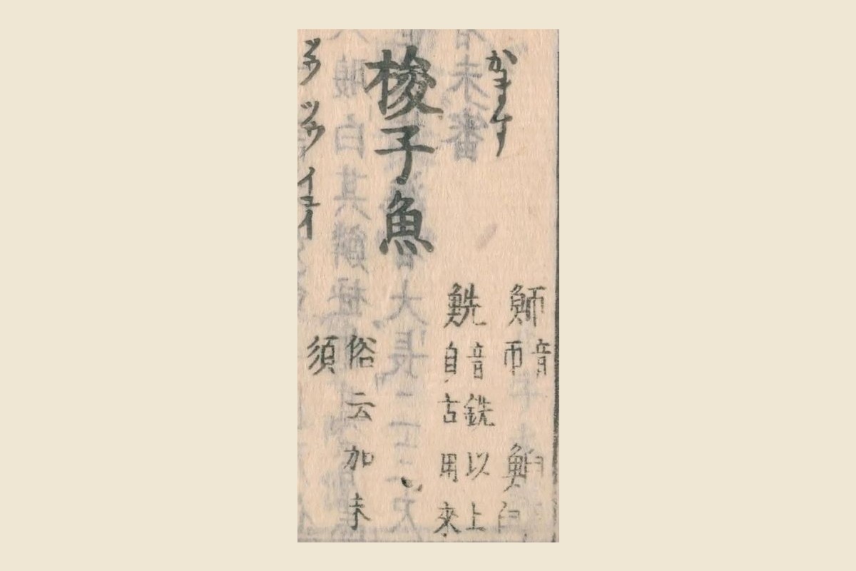 『和漢三才図会』コマ25の見出し「梭子魚」と振り仮名「かます」、注「魳 音帀」「以上自古用来」「俗云加末須」の大写し