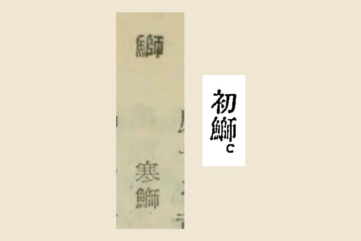 見出しの大写し。右に『新脩歳時記』の傍題「初鰤」、左に『現代綜合大句集』の見出し「鰤」と小さく添えた「寒鰤」