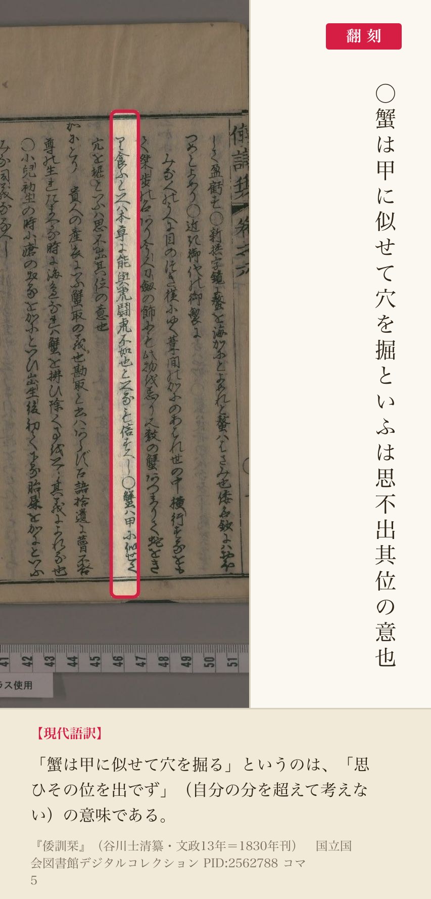 『倭訓栞』コマ5の「蟹は甲に似せて穴を掘といふは思不出其位の意也」の列と翻刻